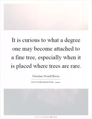 It is curious to what a degree one may become attached to a fine tree, especially when it is placed where trees are rare Picture Quote #1