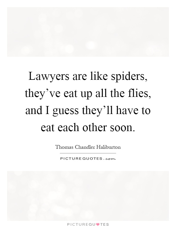 Lawyers are like spiders, they've eat up all the flies, and I guess they'll have to eat each other soon Picture Quote #1