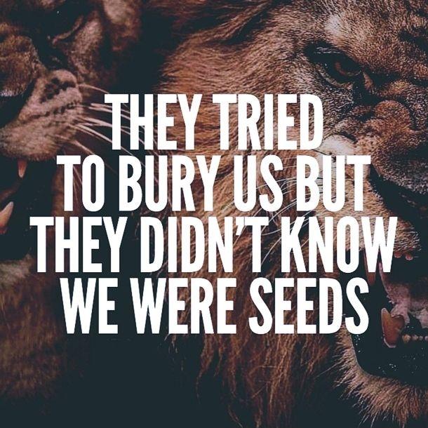 They tried to bury us but they didn't know we were seeds Picture Quote #1