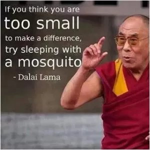 If you think you are too small to make a difference, try sleeping with a mosquito Picture Quote #1