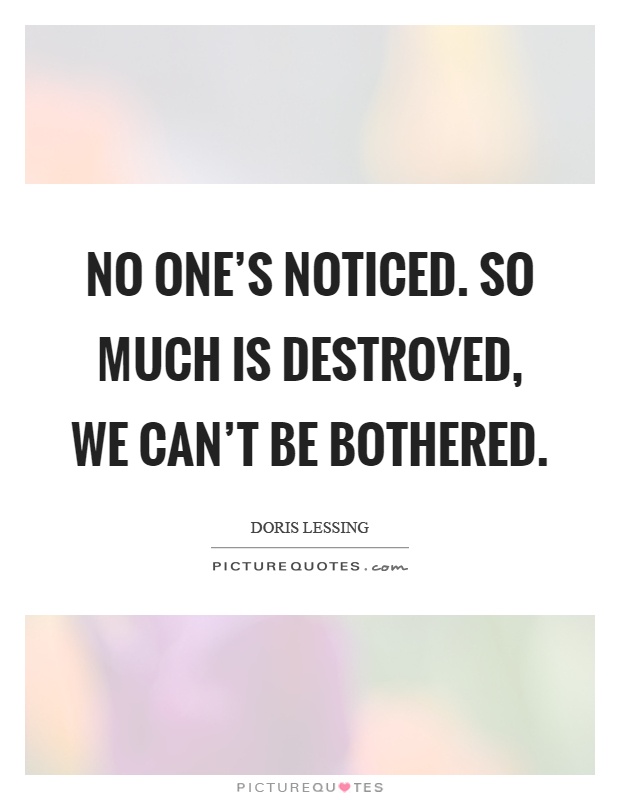 No one's noticed. So much is destroyed, we can't be bothered Picture Quote #1