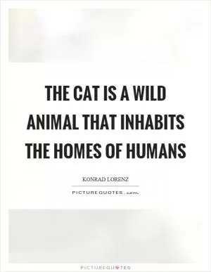 The cat is a wild animal that inhabits the homes of humans Picture Quote #1