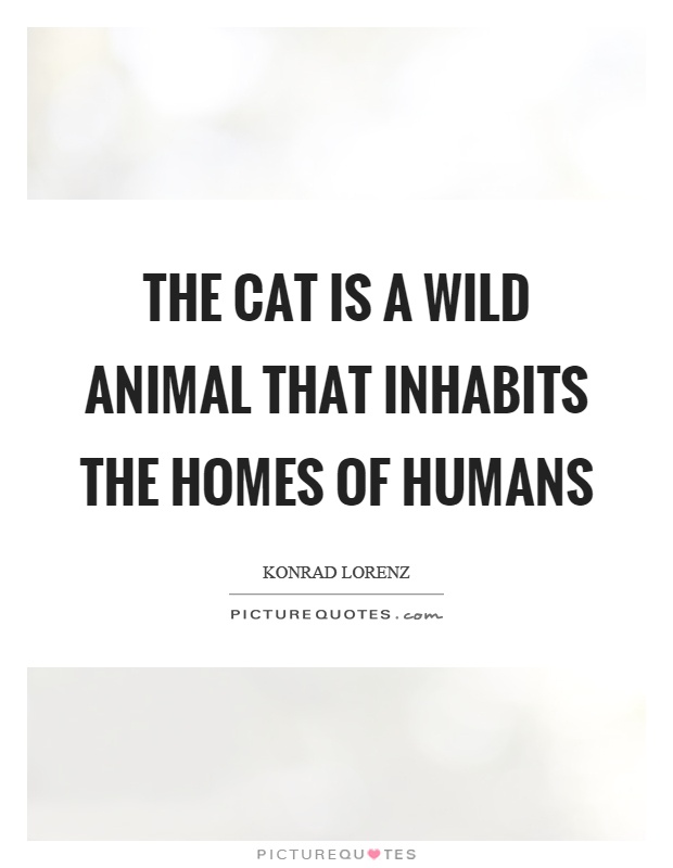 The cat is a wild animal that inhabits the homes of humans Picture Quote #1