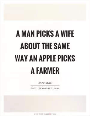 A man picks a wife about the same way an apple picks a farmer Picture Quote #1