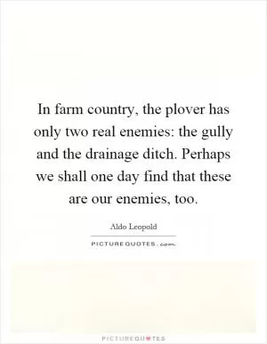 In farm country, the plover has only two real enemies: the gully and the drainage ditch. Perhaps we shall one day find that these are our enemies, too Picture Quote #1