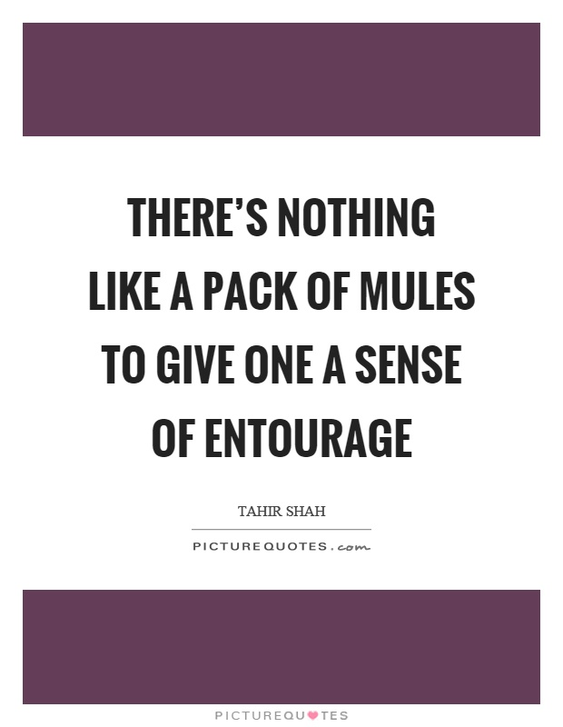 There's nothing like a pack of mules to give one a sense of entourage Picture Quote #1