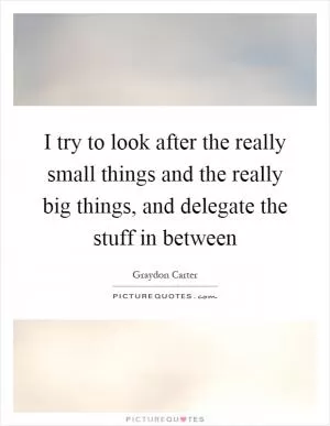 I try to look after the really small things and the really big things, and delegate the stuff in between Picture Quote #1