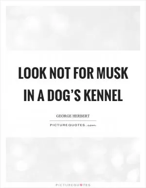 Look not for musk in a dog’s kennel Picture Quote #1