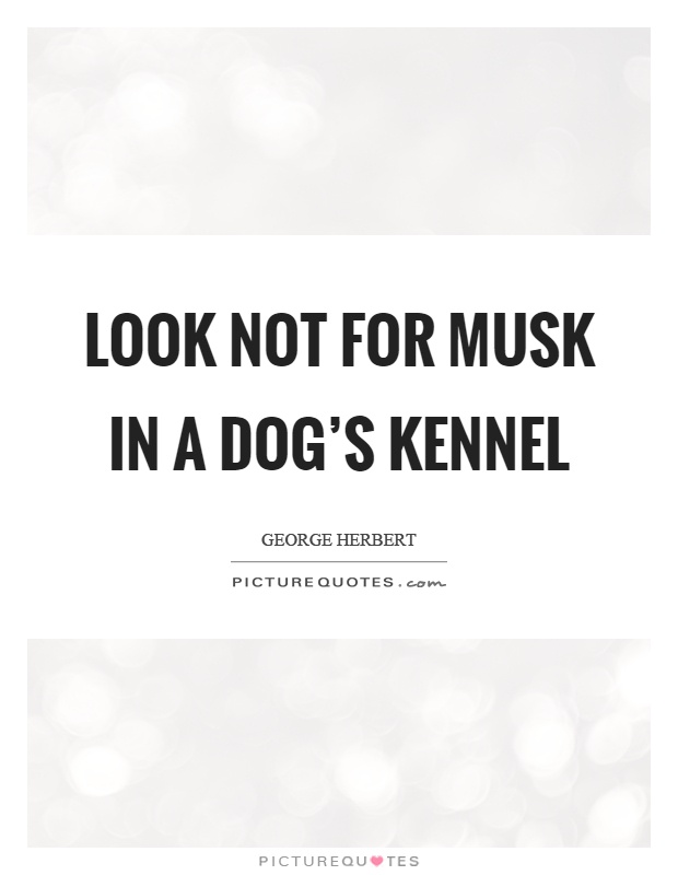 Look not for musk in a dog's kennel Picture Quote #1