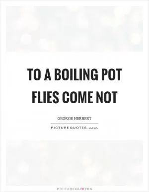 To a boiling pot flies come not Picture Quote #1