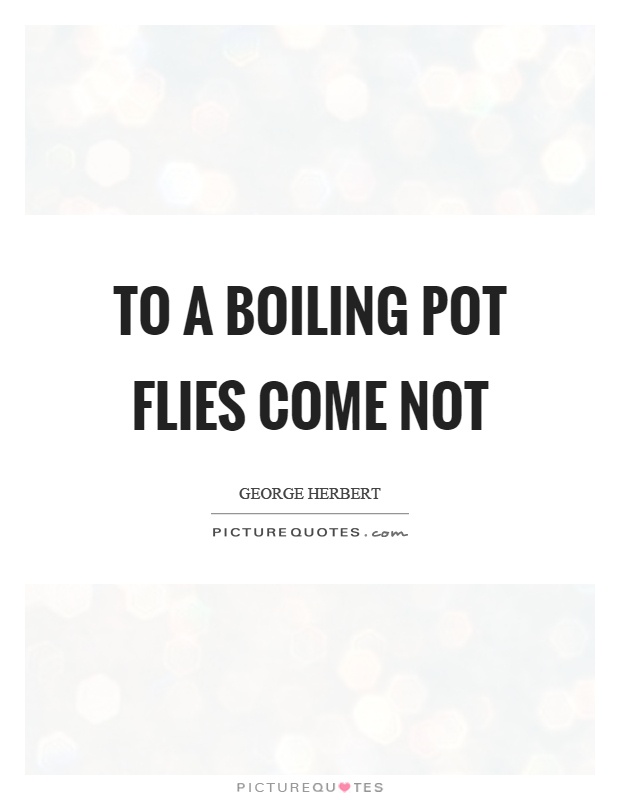 To a boiling pot flies come not Picture Quote #1