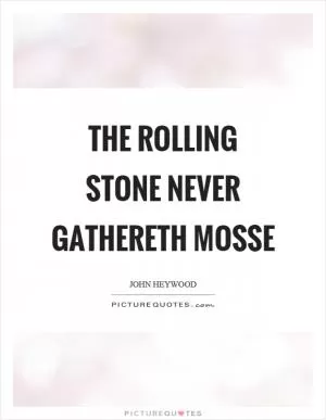 The rolling stone never gathereth mosse Picture Quote #1