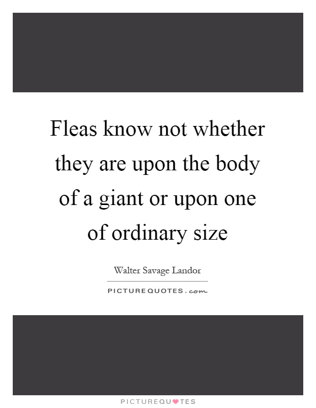Fleas know not whether they are upon the body of a giant or upon one of ordinary size Picture Quote #1