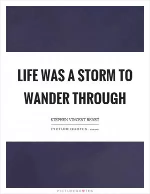 Life was a storm to wander through Picture Quote #1