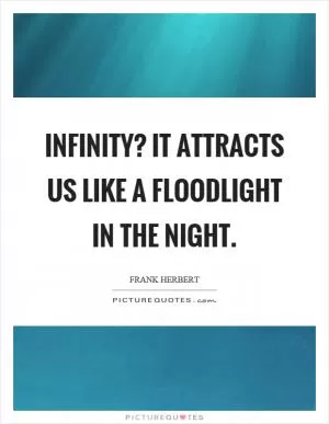 Infinity? It attracts us like a floodlight in the night Picture Quote #1