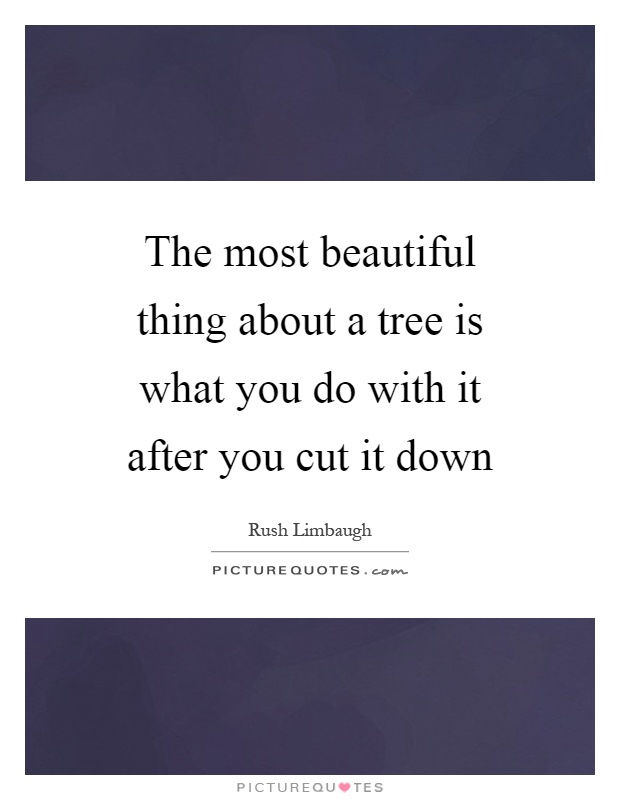 The most beautiful thing about a tree is what you do with it after you cut it down Picture Quote #1
