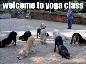Welcome to yoga class Picture Quote #1