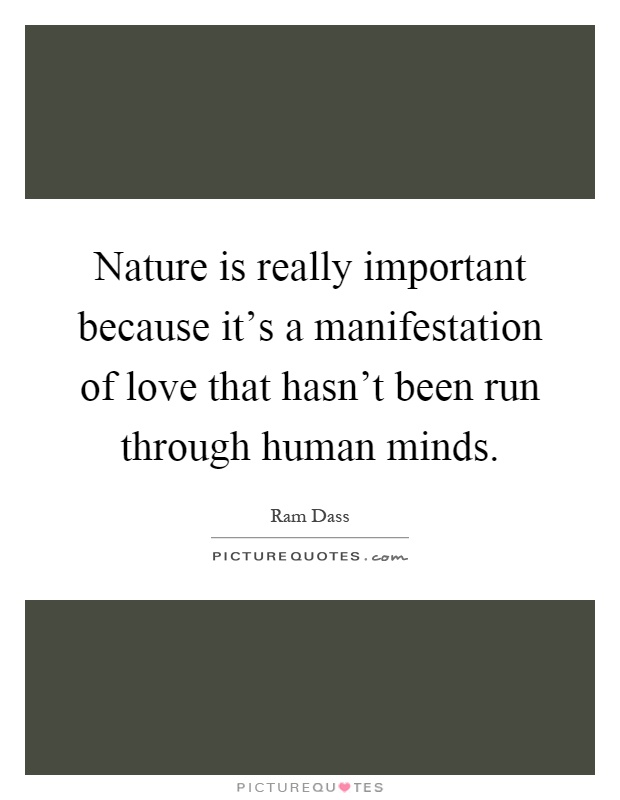 Nature is really important because it's a manifestation of love that hasn't been run through human minds Picture Quote #1