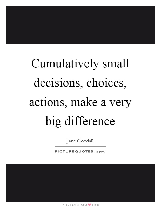 Cumulatively small decisions, choices, actions, make a very big difference Picture Quote #1