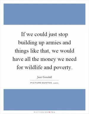 If we could just stop building up armies and things like that, we would have all the money we need for wildlife and poverty Picture Quote #1
