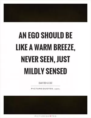 An ego should be like a warm breeze, never seen, just mildly sensed Picture Quote #1
