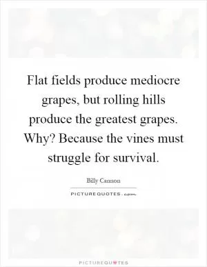 Flat fields produce mediocre grapes, but rolling hills produce the greatest grapes. Why? Because the vines must struggle for survival Picture Quote #1