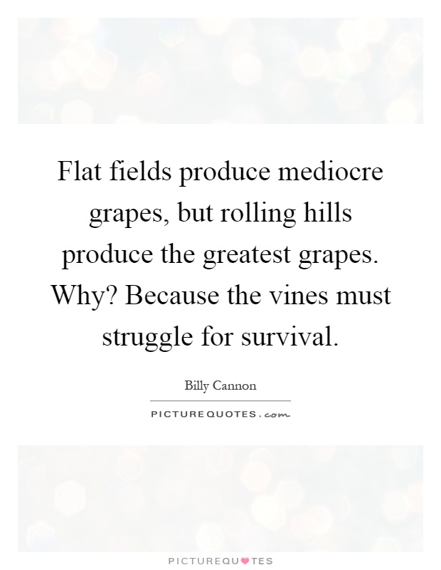 Flat fields produce mediocre grapes, but rolling hills produce the greatest grapes. Why? Because the vines must struggle for survival Picture Quote #1