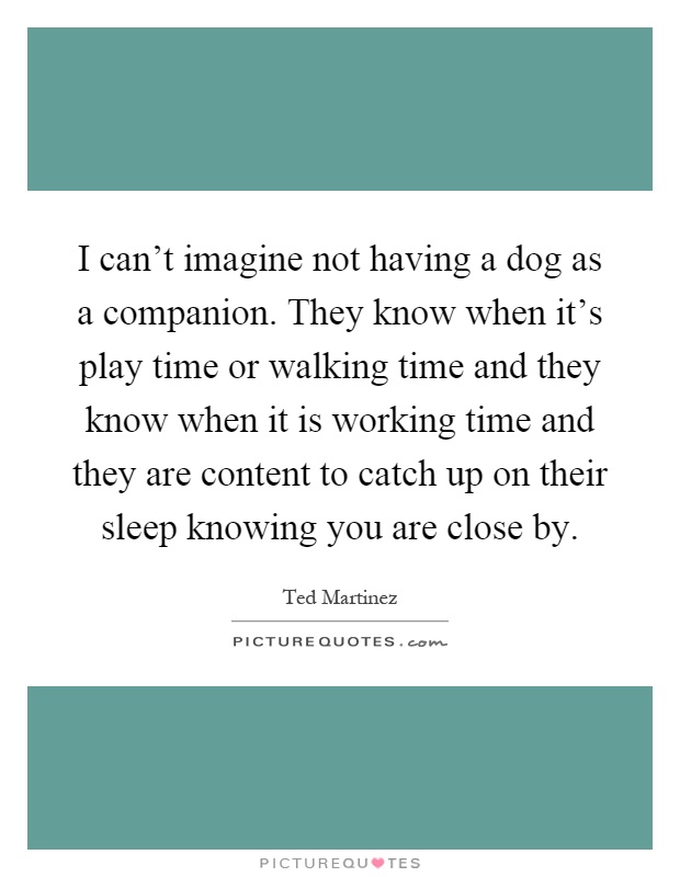 I can't imagine not having a dog as a companion. They know when it's play time or walking time and they know when it is working time and they are content to catch up on their sleep knowing you are close by Picture Quote #1