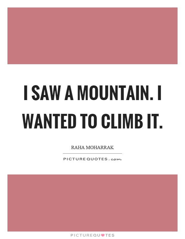 I saw a mountain. I wanted to climb it Picture Quote #1
