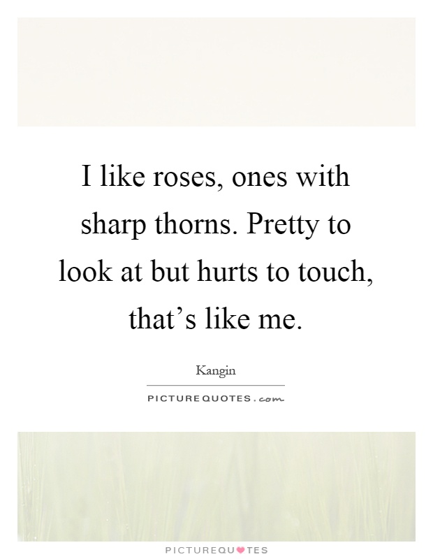 I like roses, ones with sharp thorns. Pretty to look at but hurts to touch, that's like me Picture Quote #1