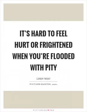 It’s hard to feel hurt or frightened when you’re flooded with pity Picture Quote #1
