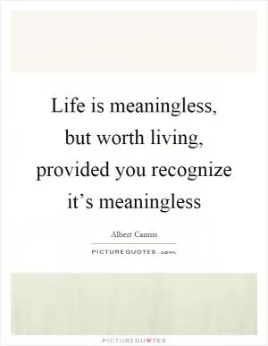 Life is meaningless, but worth living, provided you recognize it’s meaningless Picture Quote #1
