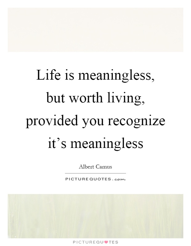 Life is meaningless, but worth living, provided you recognize it's meaningless Picture Quote #1