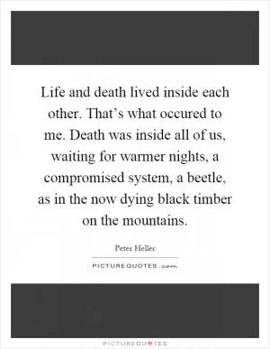 Life and death lived inside each other. That’s what occured to me. Death was inside all of us, waiting for warmer nights, a compromised system, a beetle, as in the now dying black timber on the mountains Picture Quote #1