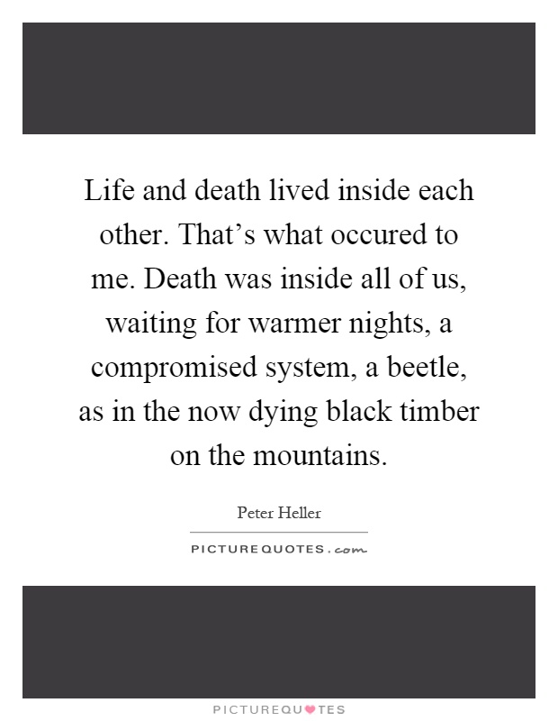 Life and death lived inside each other. That's what occured to me. Death was inside all of us, waiting for warmer nights, a compromised system, a beetle, as in the now dying black timber on the mountains Picture Quote #1