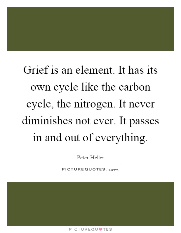 Grief is an element. It has its own cycle like the carbon cycle, the nitrogen. It never diminishes not ever. It passes in and out of everything Picture Quote #1