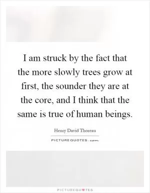 I am struck by the fact that the more slowly trees grow at first, the sounder they are at the core, and I think that the same is true of human beings Picture Quote #1