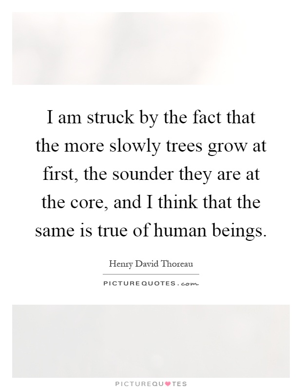 I am struck by the fact that the more slowly trees grow at first, the sounder they are at the core, and I think that the same is true of human beings Picture Quote #1