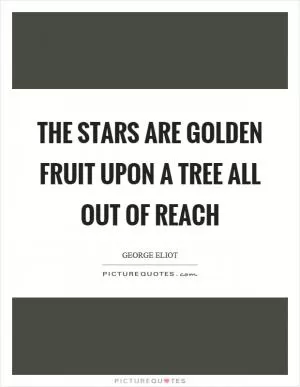 The stars are golden fruit upon a tree all out of reach Picture Quote #1