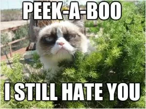 Peek-a-boo I still hate you Picture Quote #1