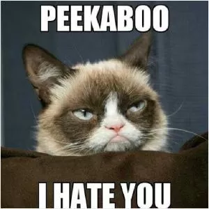 Peekaboo I hate you Picture Quote #1