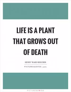 Life is a plant that grows out of death Picture Quote #1