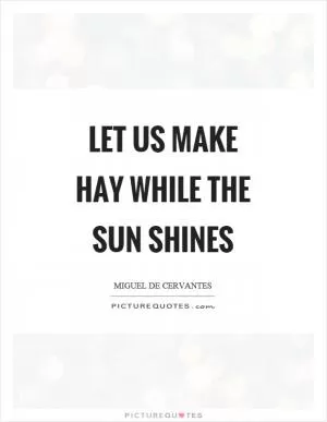 Let us make hay while the sun shines Picture Quote #1