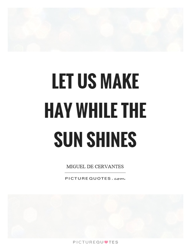 Let us make hay while the sun shines Picture Quote #1