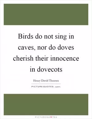 Birds do not sing in caves, nor do doves cherish their innocence in dovecots Picture Quote #1