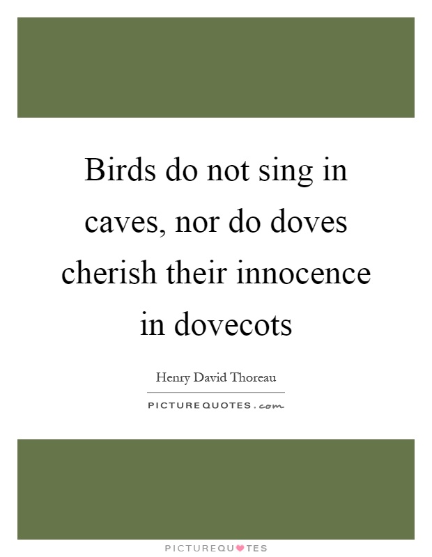 Birds do not sing in caves, nor do doves cherish their innocence in dovecots Picture Quote #1