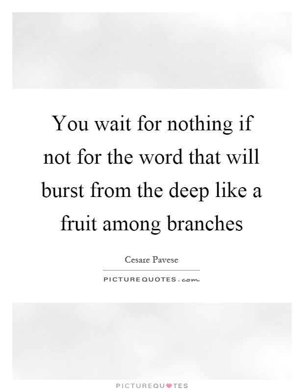 You wait for nothing if not for the word that will burst from the deep like a fruit among branches Picture Quote #1