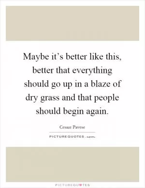 Maybe it’s better like this, better that everything should go up in a blaze of dry grass and that people should begin again Picture Quote #1