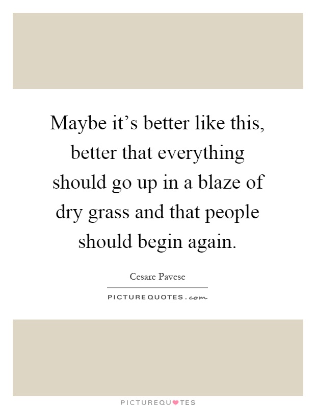 Maybe it's better like this, better that everything should go up in a blaze of dry grass and that people should begin again Picture Quote #1