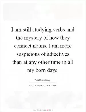 I am still studying verbs and the mystery of how they connect nouns. I am more suspicious of adjectives than at any other time in all my born days Picture Quote #1